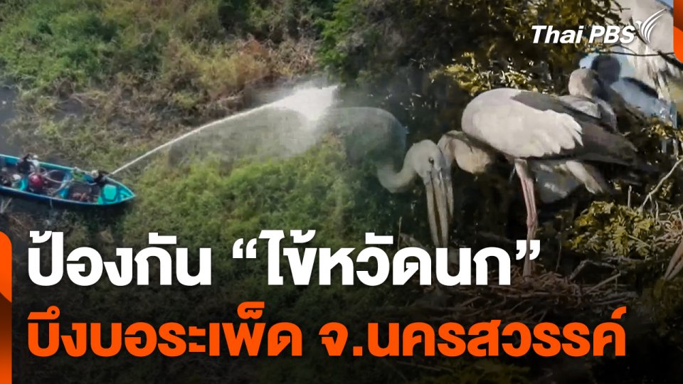 ป้องกัน "ไข้หวัดนก" บึงบอระเพ็ด จ.นครสวรรค์