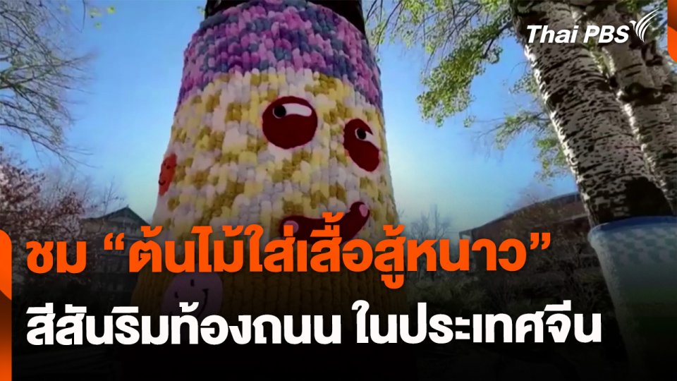 ชมสีสันจาก "ต้นไม้ใส่เสื้อสู้หนาว" ในจีน