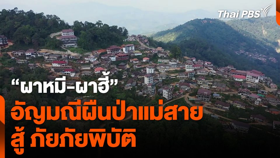 “ผาหมี-ผาฮี้” อัญมณีผืนป่าแม่สาย สู้ ภัยภัยพิบัติ