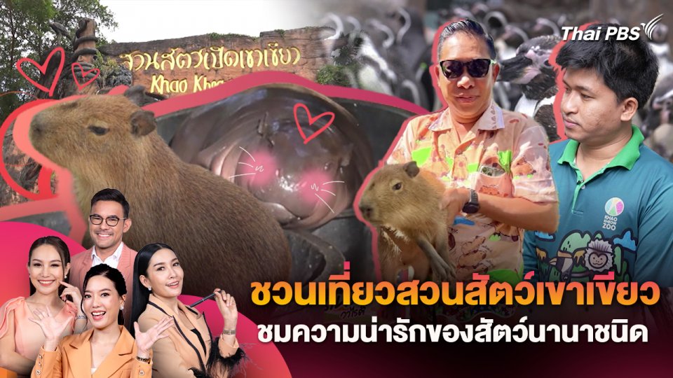 ชวนเที่ยวสวนสัตว์เขาเขียว ชมความน่ารักของสัตว์นานาชนิด