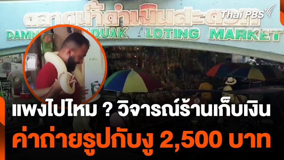 วิจารณ์ร้านเก็บเงินนักท่องเที่ยว ค่าถ่ายรูปกับงู 2,500 บาท