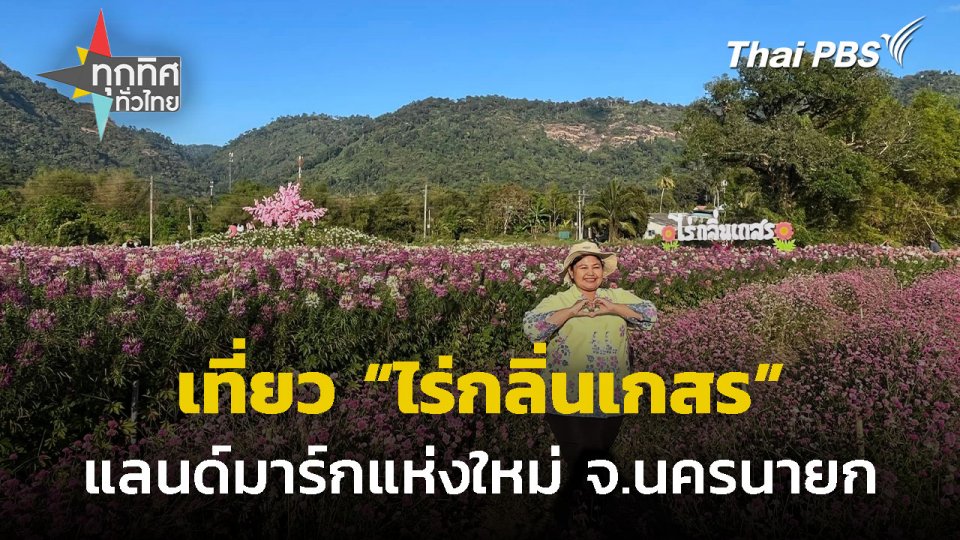 เที่ยวทุ่งดอกไม้ "ไร่กลิ่นเกสร" จ.นครนายก