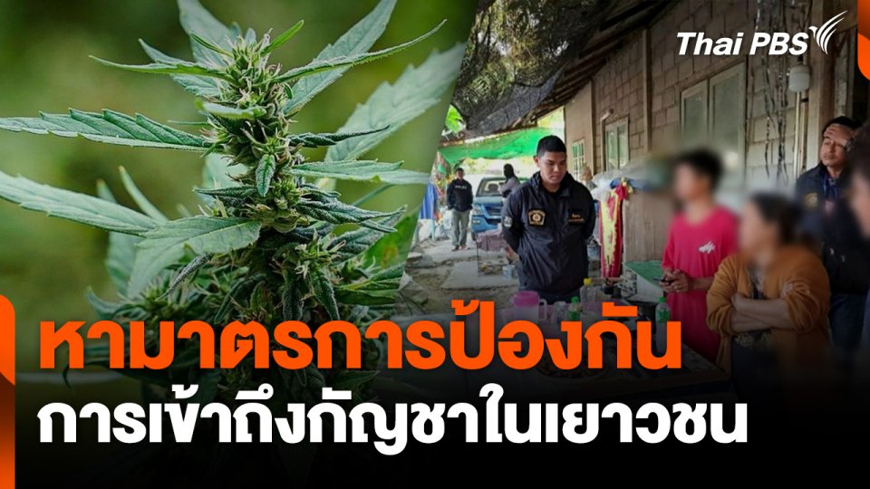 หามาตรการป้องกัน การเข้าถึงกัญชาในเยาวชน