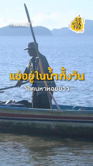 แช่ในน้ำทั้งวัน วิถีคนหาหอยขาว