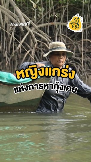 หญิงแกร่ง แห่งการหากุ้งเคย