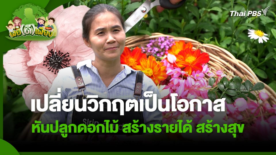 พอดีพอเพียง : เปลี่ยนวิกฤตเป็นโอกาสหันปลูกดอกไม้ สร้างรายได้ สร้างสุข