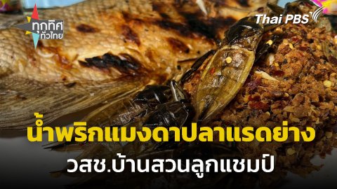 น้ำพริกแมงดาปลาแรดย่าง วสช.บ้านสวนลูกแชมป์