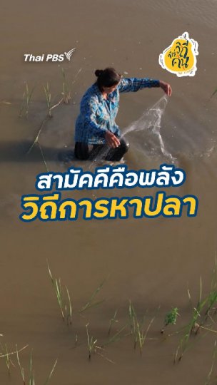 สามัคคีคือพลัง วิถีการหาปลา