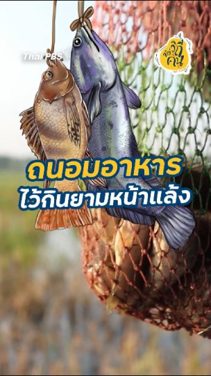 ถนอมอาหาร ไว้กินยามหน้าแล้ง