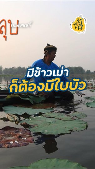 มีข้าวเม่า ก็ต้องมีใบบัว