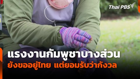 แรงงานกัมพูชาบางส่วนยังขออยู่ไทย แต่ยอมรับว่ากังวล
