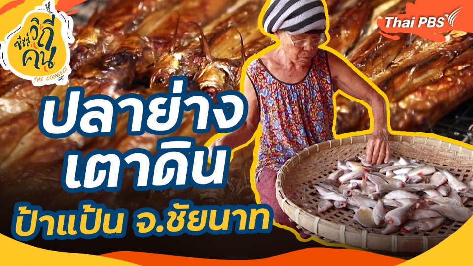 ปลาย่างเตาดิน ป้าแป้น จ.ชัยนาท
