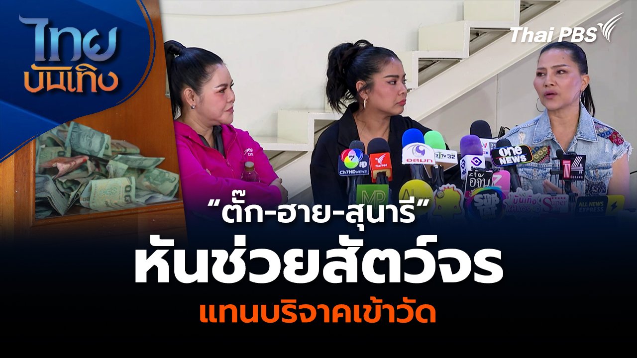 จากข่าวฉาววัดดัง! ตั๊ก-ฮาย-สุนารี เปลี่ยนทิศบุญ ช่วยเหลือสัตว์จรจัดแทนบริจาคเข้าวัด