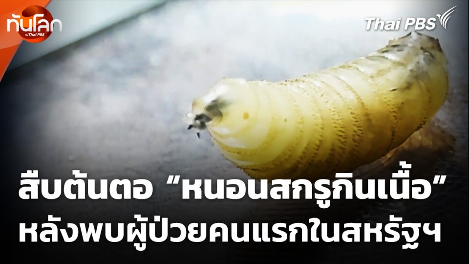 สืบต้นตอ “หนอนสกรูกินเนื้อ” หลังพบผู้ป่วยคนแรกในสหรัฐฯ