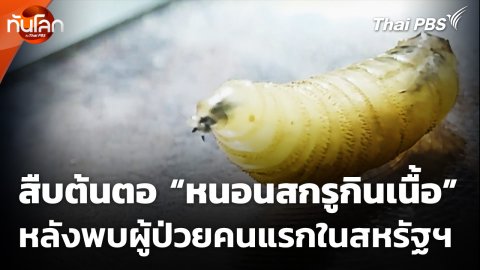 สืบต้นตอ “หนอนสกรูกินเนื้อ” หลังพบผู้ป่วยคนแรกในสหรัฐฯ