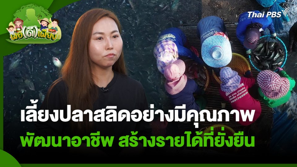 พอดีพอเพียง : เลี้ยงปลาสลิดอย่างมีคุณภาพ พัฒนาอาชีพ สร้างรายได้ที่ยั่งยืน