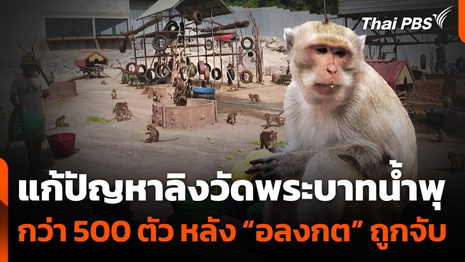 แก้ปัญหาลิงวัดพระบาทน้ำพุ หลัง “อลงกต” ถูกจับ