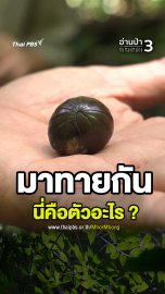 มาทายกัน นี่คือตัวอะไร