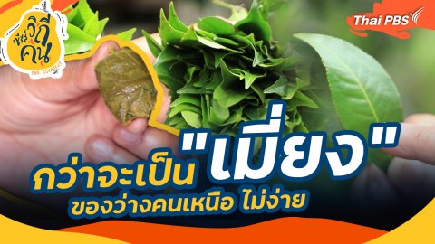 กว่าจะเป็น "เมี่ยง" ของว่างคนเหนือ ไม่ง่าย
