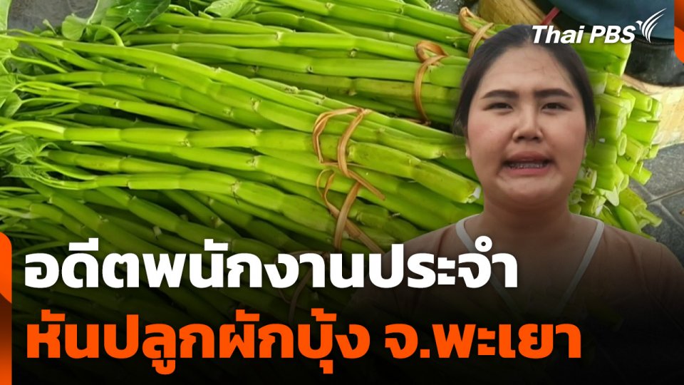 อดีตพนักงานประจำหันปลูกผักบุ้ง จ.พะเยา