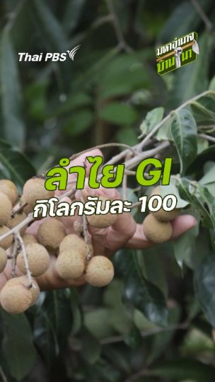 ลำไย GI กิโลกรัมละ 100