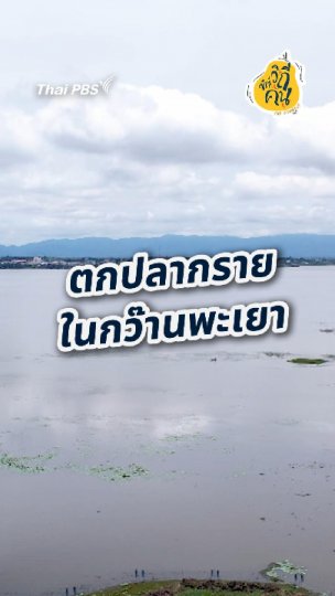 ตกปลากราย ในกว๊านพะเยา