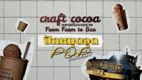 ปักหมุดจุด POP : Craft Cocoa นครศรีธรรมราช From farm to bar