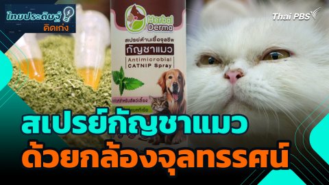 ไทยประดิษฐ์คิดเก่ง : สเปรย์กัญชาแมวสำหรับสัตว์เลี้ยง