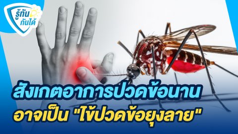 รู้ทันกันได้ : สังเกตอาการปวดข้อนานอาจเป็น "ไข้ปวดข้อยุงลาย"