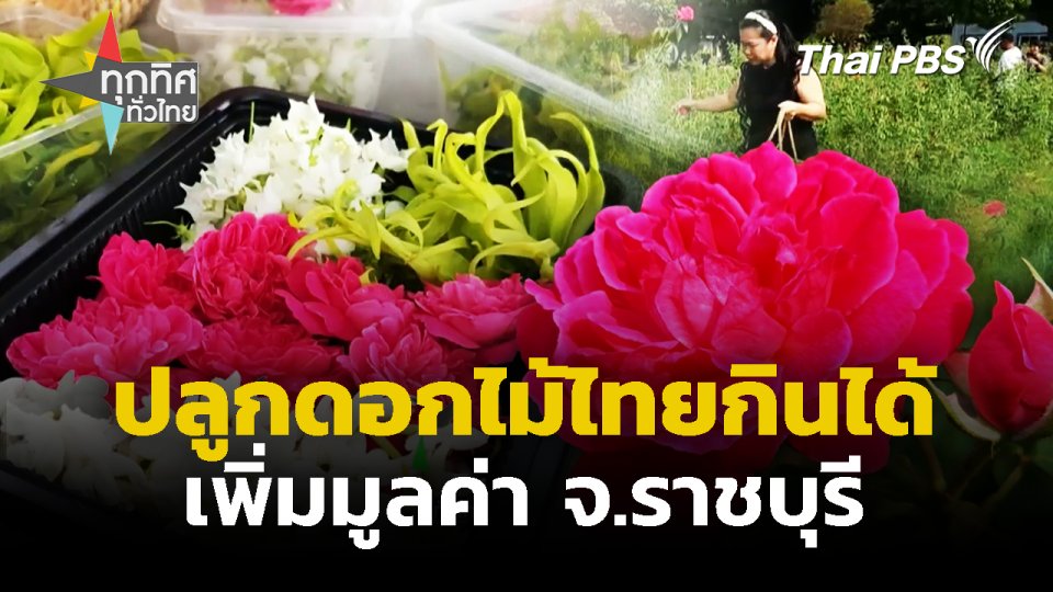ปลูกดอกไม้ไทยกินได้ เพิ่มมูลค่า จ.ราชบุรี | ทุกทิศทั่วไทย