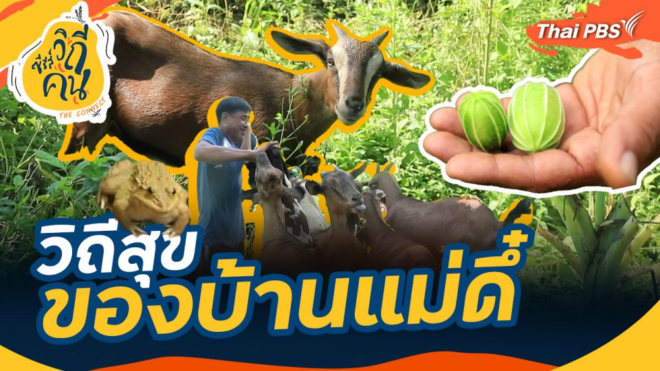 วิถีสุขของบ้านแม่ดึ๋