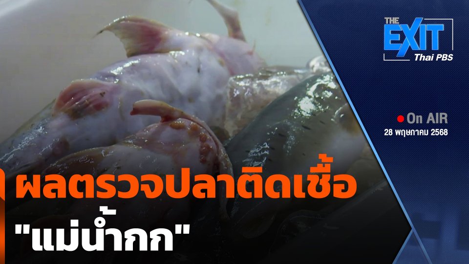The EXIT : ผลตรวจปลาติดเชื้อ "แม่น้ำกก"
