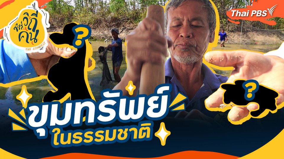 ขุมทรัพย์ในธรรมชาติ