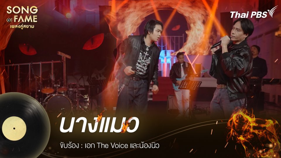 นางแมว