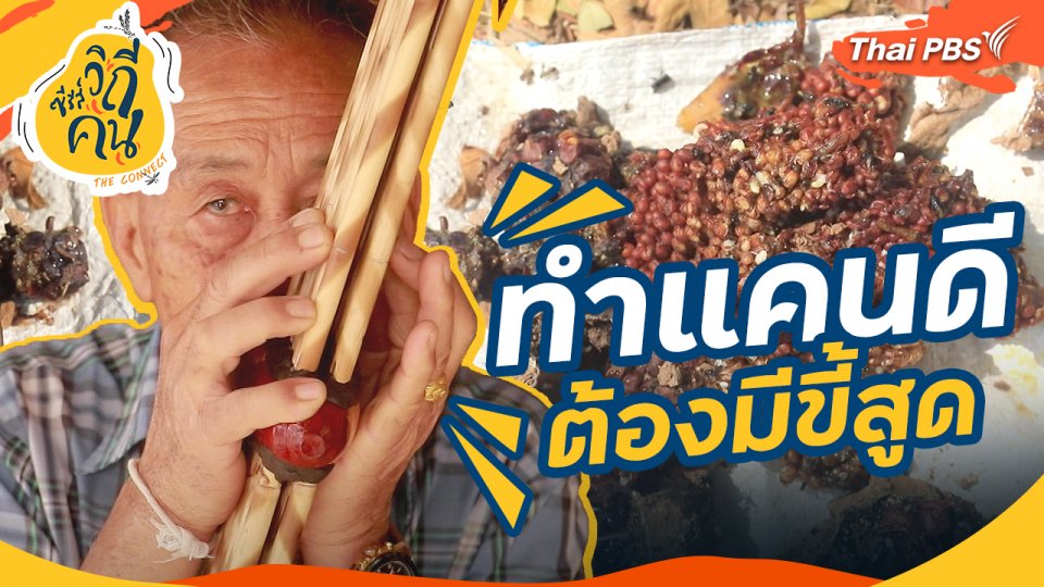 ทำแคนดี ต้องมีขี้สูด