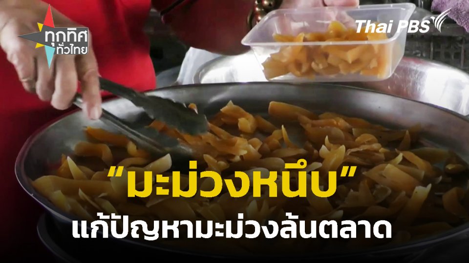 "มะม่วงหนึบ" แก้ปัญหามะม่วงล้นตลาด