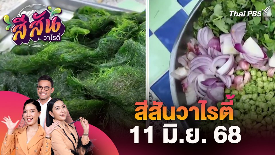 สีสันวาไรตี้ (11 มิ.ย. 68)