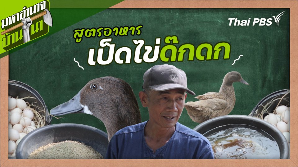 สูตรลับฉบับบ้านนา : สูตรอาหารเป็ดไข่ด๊กดก