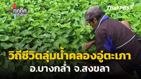 วิถีชีวิตลุ่มน้ำคลองอู่ตะเภา อ.บางกล่ำ จ.สงขลา