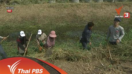 นกอาสาสู้ภัยแล้ง : บ้านหนองกระโดนมน จ.สุพรรณบุรี (วันที่ 2)