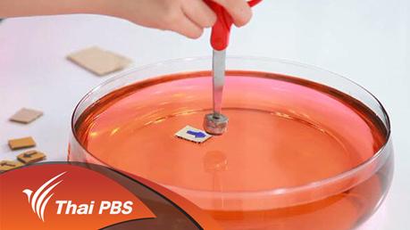 แม่เหล็กดูดกระดาษ