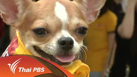 ประเด็นข่าว (28 มี.ค. 59)