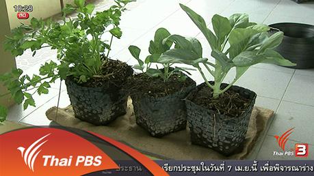 ลงทุนทำกิน : เกษตรพอเพียง เลี้ยงครอบครัว สร้างรายได้เสริม
