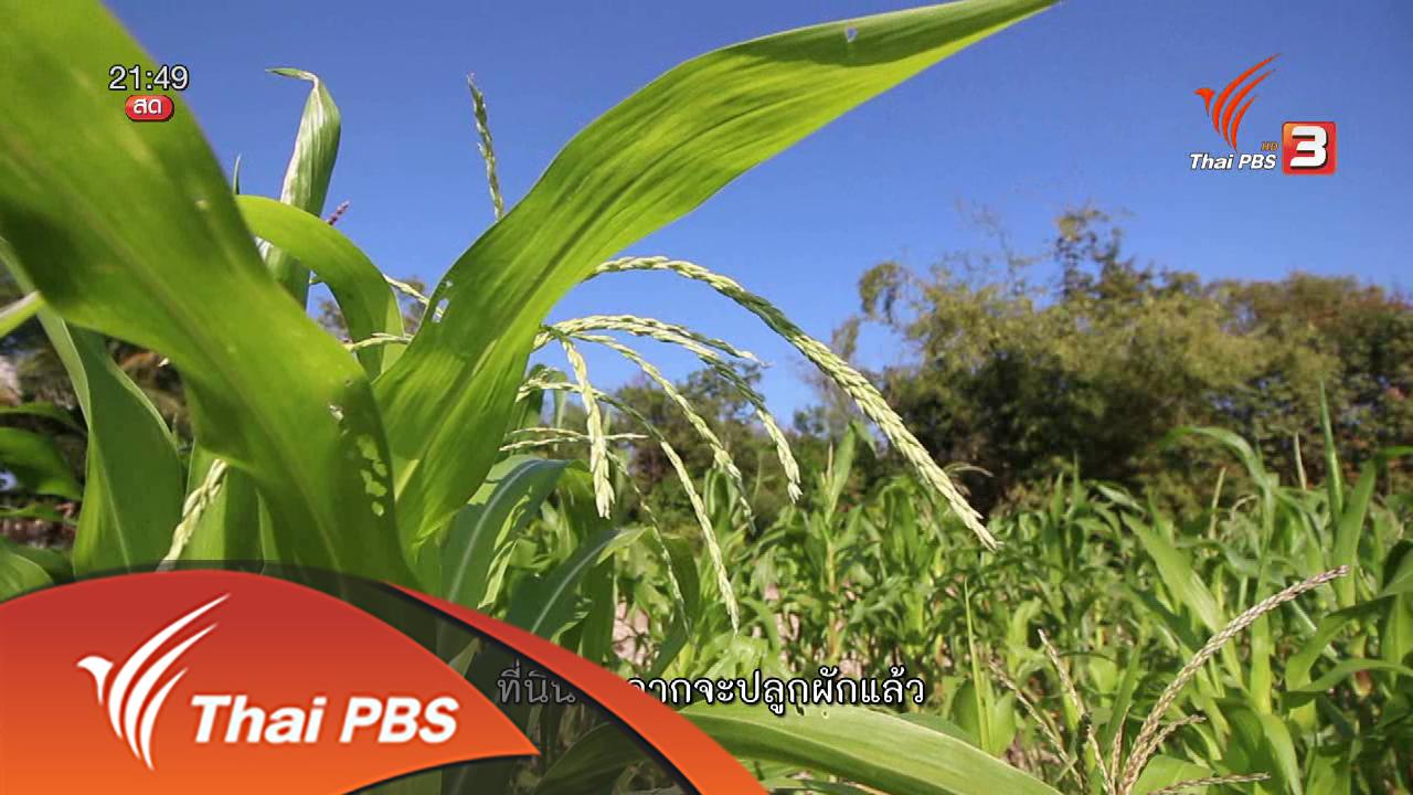 ที่นี่ Thai PBS - นักข่าวพลเมือง : เครือข่ายเกษตรรวมตัวกันผ่านพื้นที่ตลาดนัดสีเขียว