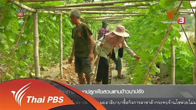 ปลูกพืชสวนแทนนาข้าว