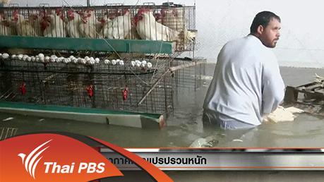 ประเด็นข่าว (27 ม.ค. 59)