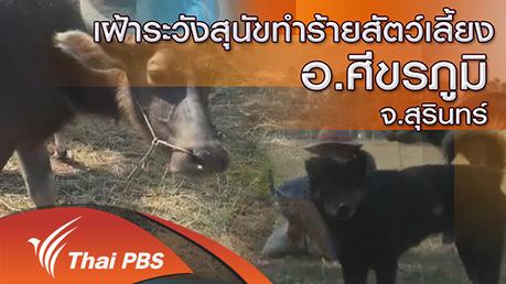 ร้องทุก(ข์) ลงป้ายนี้ - เฝ้าระวังสุนัขทำร้ายสัตว์เลี้ยง อ.ศีขรภูมิ จ.สุรินทร์