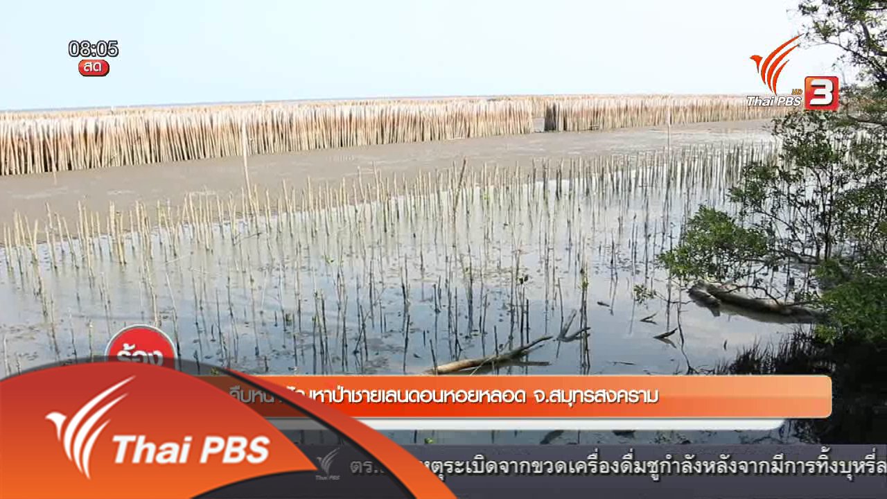 ร้องทุก(ข์) ลงป้ายนี้ - คืบหน้าปัญหาป่าชายเลนดอนหอยหลอด จ.สมุทรสงคราม