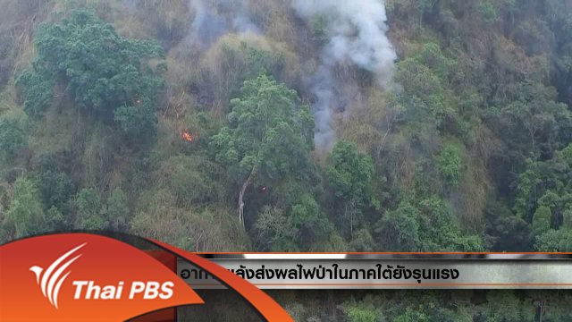 ประเด็นข่าว (11 พ.ค. 59)