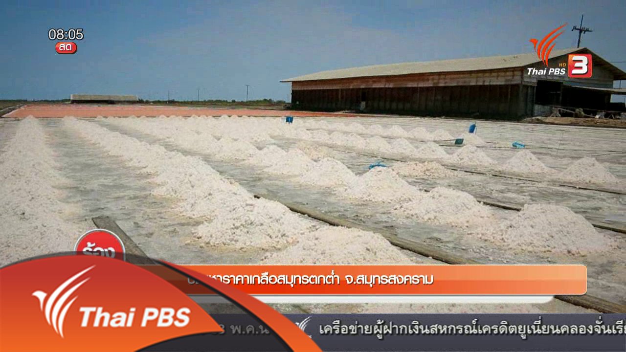 ร้องทุก(ข์) ลงป้ายนี้ - ปัญหาราคาเกลือสมุทรตกต่ำ จ.สมุทรสงคราม